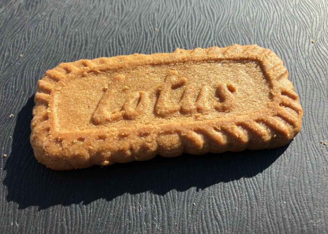 A single Biscoff cookie.