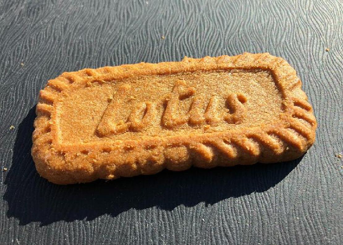 A single Biscoff cookie.