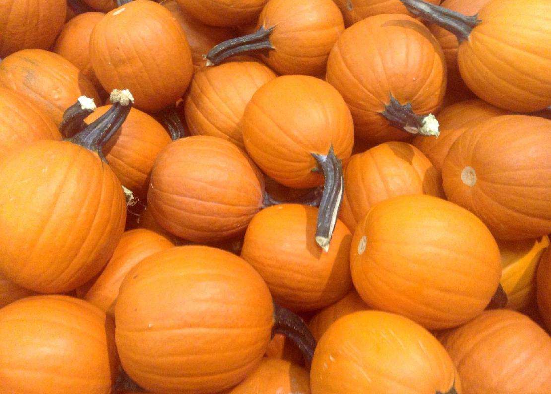 A pile of medium-sized orange pumpkins.