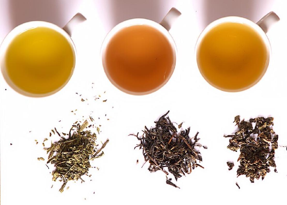 Three teas of different fermentation. From left to right: Green tea from Japan, Yellow tea from China, and Oolong tea from China.