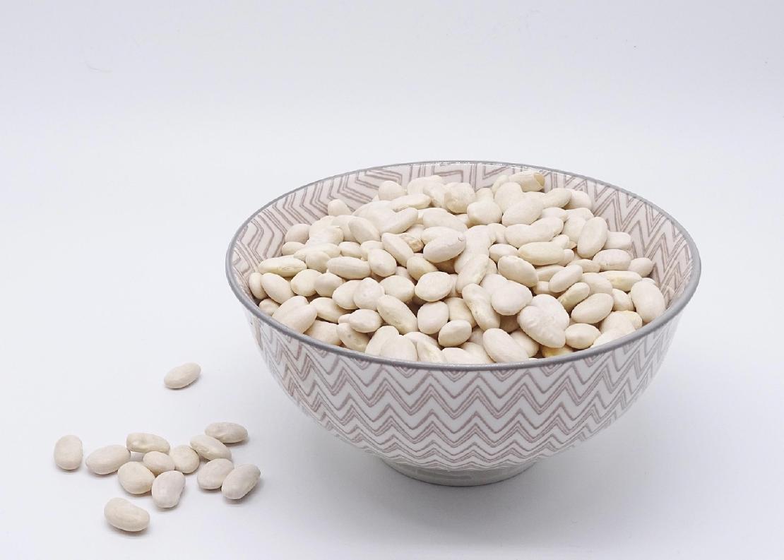 A bowl of dried white beans on a white backdrop with a few beans loose at the base.